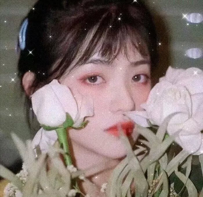 水上人家