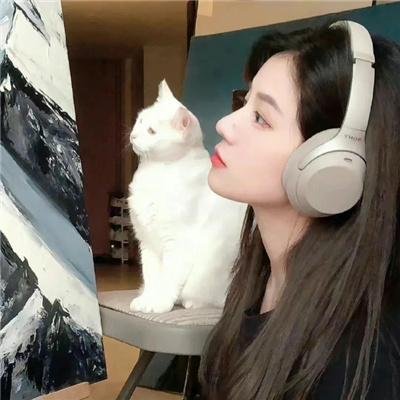 猫行东方